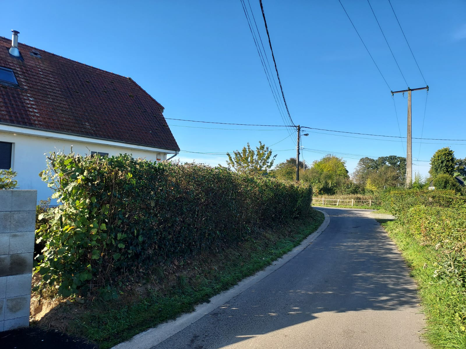 Haie taillée par Ti Pimousse